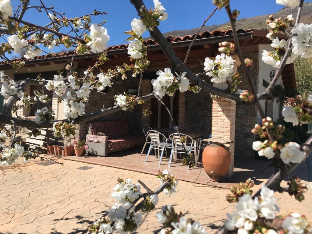 Casa Rural La Picotina Navaconcejo Eksteriør bilde
