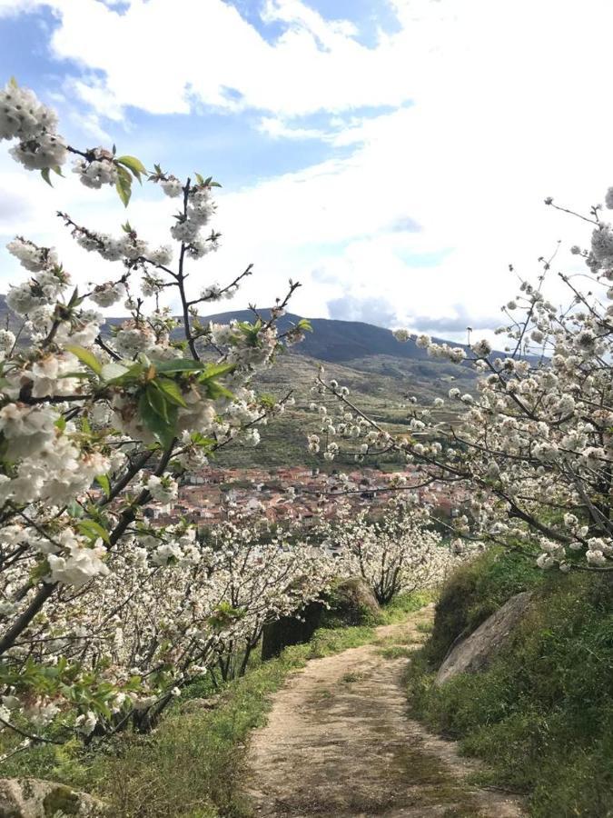 Casa Rural La Picotina Navaconcejo Eksteriør bilde