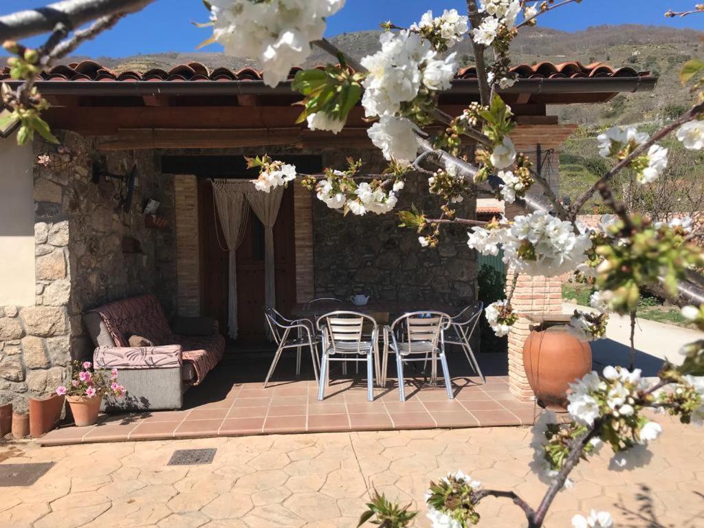 Casa Rural La Picotina Navaconcejo Eksteriør bilde