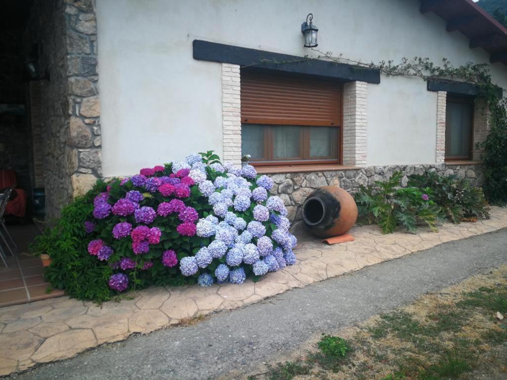 Casa Rural La Picotina Navaconcejo Eksteriør bilde